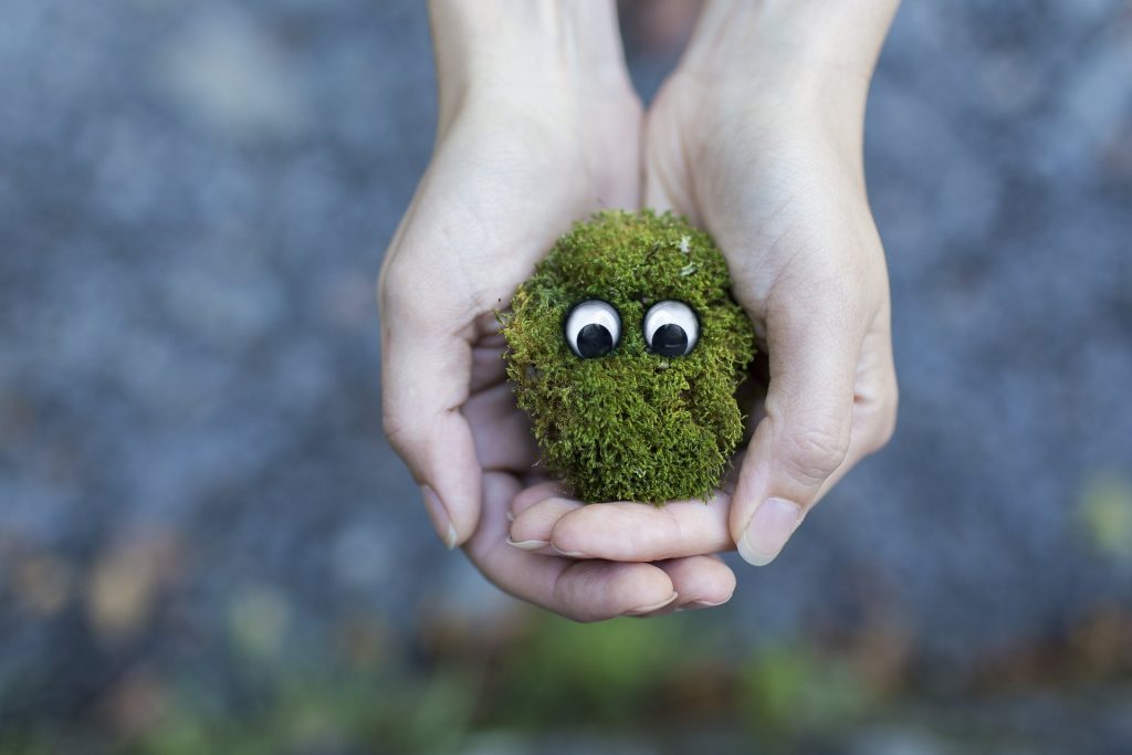 Moos mit Augen wird in zwei Händen gehalten - Naturschutz sind die Kosten unserer Ausbildung